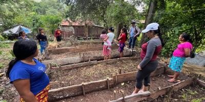 Familias inician su propio huerto en San José La Arada
