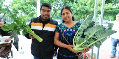 Impulso a la economía local con la realización de 83 Ferias del Agricultor