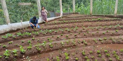 Mano a Mano impulsa seguridad alimentaria en Santiago Chimaltenango 