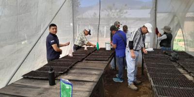 Pilones brindan más oportunidades a productores de Totonicapán