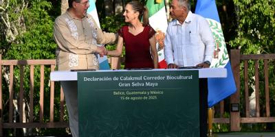 Presidente Bernardo Arévalo, 