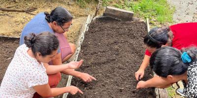 Comunidad de Los Cimientos implementa su primer huerto comunitario