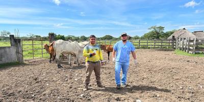 Con acciones de combate al Gusano Barrenador se fortalece la sanidad animal