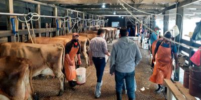 Emisión de 86 licencias sanitarias refuerza la inocuidad de la leche