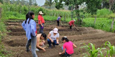 Implementan huerto familiar en Poptún
