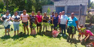 Impulsan producción de frutales en San Andrés, Petén