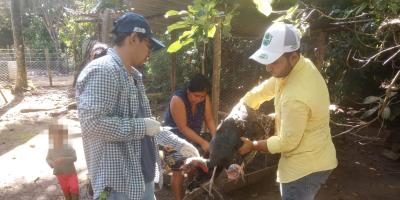 Jornada de sanidad animal en Poptún