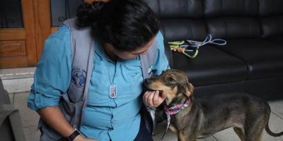 La rabia se puede prevenir, vacuné a su mascota y proteja su vida