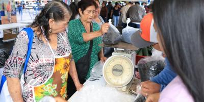 Qué productos encontrará en la próxima Feria del Agricultor de Bárcena