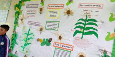  Niñez de Chotacaj 
