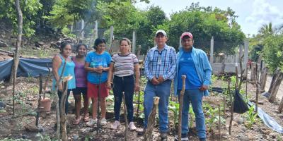 Asistencia técnica optimizan huertos escolares en Zacapa Solapas principales