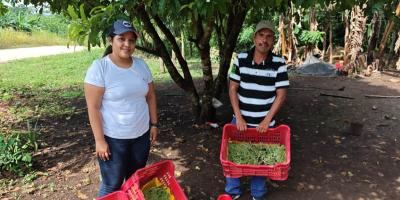 Entregan pilones en Dolores, Petén 