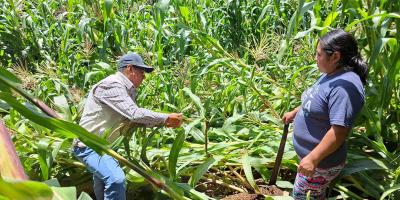 Evalúan y dan seguimiento a daños en cultivos por lluvias en Sacatepéquez 
