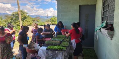 Familias de Chuarrancho beneficiadas con la entrega de pilones de hortalizas