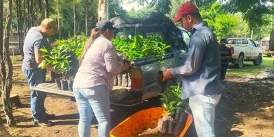 Fortalecen ganadería sostenible con entrega de plantas forestales