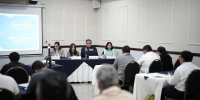 El taller dirigido a actores locales gubernamentales de siete departamentos fue promovido por SEGEPLAN y por SCEP.