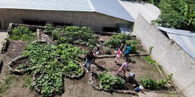 Impulsan huertos pedagógicos y buena alimentación en escuelas de Zacapa