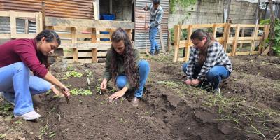 Los huertos demostrativos son una herramienta para el desarrollo agrícola