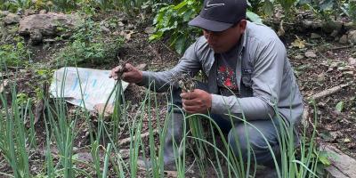 Mano a Mano fortalece la agricultura familiar de Jocotán