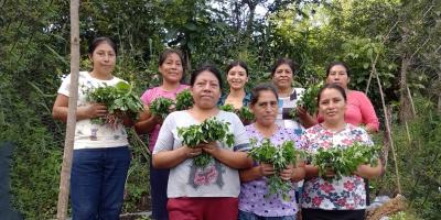 Mejoran productividad y sostenibilidad del suelo en Chiquimula