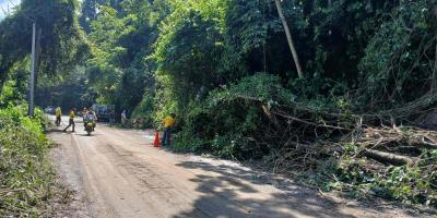 Se realiza limpieza para rehabiltiar paso vial en ruta El Boquerón-Chiquimulilla tras intensas lluvias 