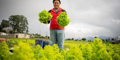 Presentarán oportunidades de inversión para fortalecer la agricultura y el desarrollo 