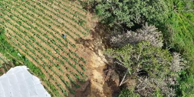 Refuerzan acciones para reducir riesgo de desastres en el sector agropecuario