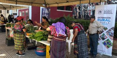 Vegetales frescos a precios accesibles en la Feria del Agricultor de Sololá