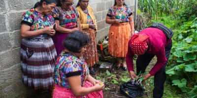Acuerdo Ministerial 981-2011 reconoce y regula el ejercicio espiritual ancestral