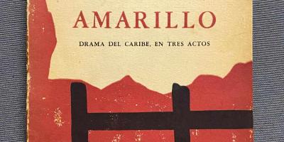 El Tren Amarillo