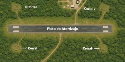 El proyecto, que podría extenderse por uno o dos años debido a la cantidad de fauna presente, prioriza la protección de especies críticas y la seguridad operacional de las operaciones aéreas en la región