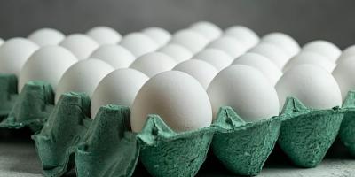 Producción de huevos en el país cuenta con altos estándares sanitarios