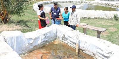 Así puede iniciar un proyecto de Acuicultura Familiar