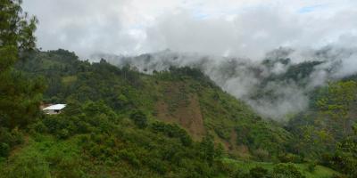 Emiten recomendaciones para proteger cultivos y ganado ante condiciones climáticas variables