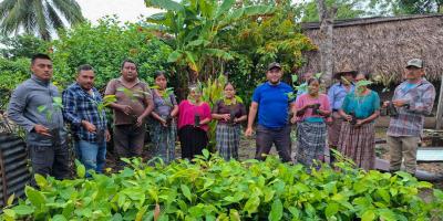 Entrega de plantas fortalece sistemas silvopastoriles en Petén