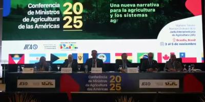 Guatemala participa en elección del nuevo director general del IICA