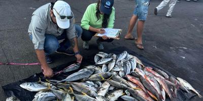 Realizan control biológico en pesca de arrastre de camarón en Escuintla