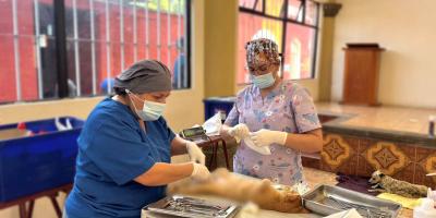 Realizan jornada de castración y esterilización en Chimaltenango