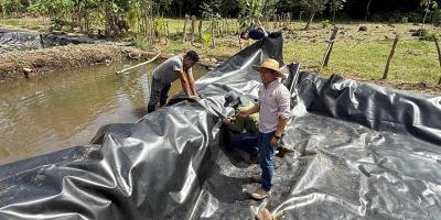 Revestimiento de geomembrana fortalece estanques para cultivo de tilapia