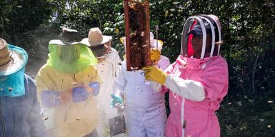 San Luis avanza en sanidad apícola con capacitación especializada