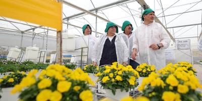 Tecnología automatizada impulsa producción de semillas ornamentales en Jalapa