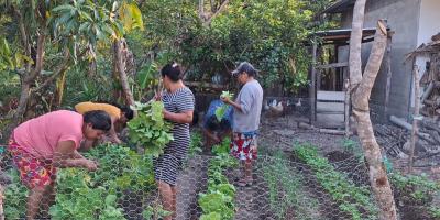 Agricultoras de Quezaltepeque demuestran resiliencia en la producción de alimentos