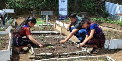 Beneficiadas más de 78 mil familias de municipios priorizados por iniciativa “Mano a Mano”