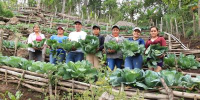 Día del Sector Público Agrícola Extensión rural clave para el desarrollo agropecuario