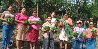 Familias zacapanecas obtienen cosechas e ingresos por huertos familiares