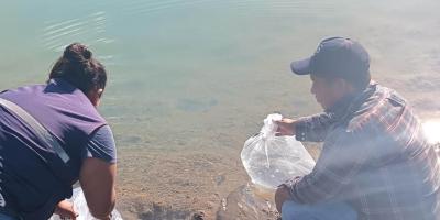 Fortalecen producción acuícola con entrega de alevines