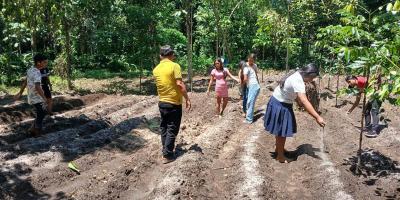 Implementados 1474 huertos escolares con fines pedagógicos