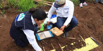 Impulsan acciones para proteger y conservar los suelos de Guatemala 