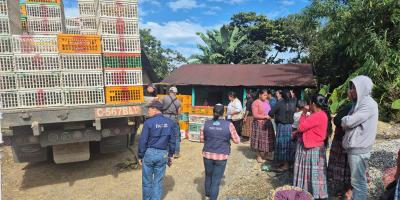 Impulso a la seguridad alimentaria en Alta Verapaz