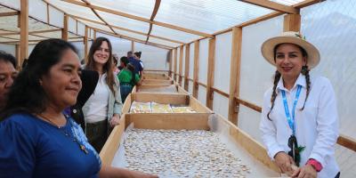 Inauguran Centro de Deshidratación y Procesamiento de Cultivos Nativos en Petén